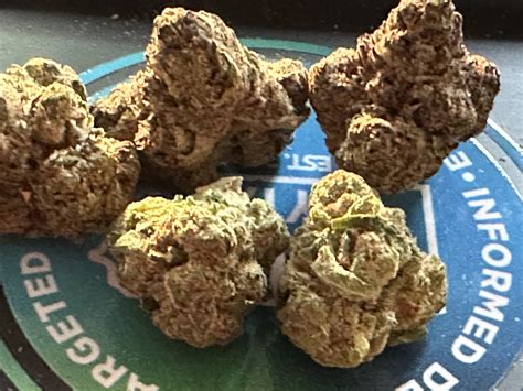 Strawberry Gelato Weed Strain Information